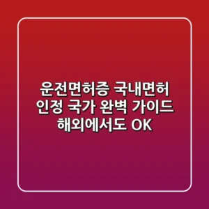 운전면허증 국내면허 인정 국가 완벽 가이드 해외에서도 OK