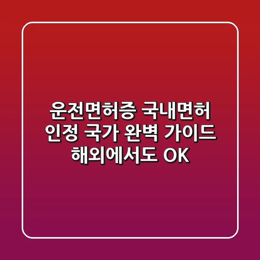 운전면허증 국내면허 인정 국가 완벽 가이드 해외에서도 OK