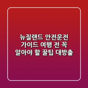 뉴질랜드 #안전운전 가이드: 여행 전 꼭 알아야 할 꿀팁 대방출!