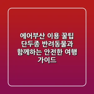 에어부산 이용 꿀팁: 단두종 반려동물과 함께하는 안전한 여행 가이드