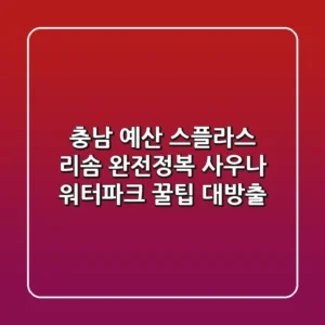 충남 예산 스플라스 리솜 완전정복! 사우나 & 워터파크 꿀팁 대방출