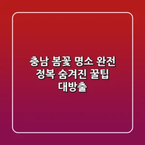 충남 봄꽃 명소 완전 정복! 숨겨진 꿀팁 대방출