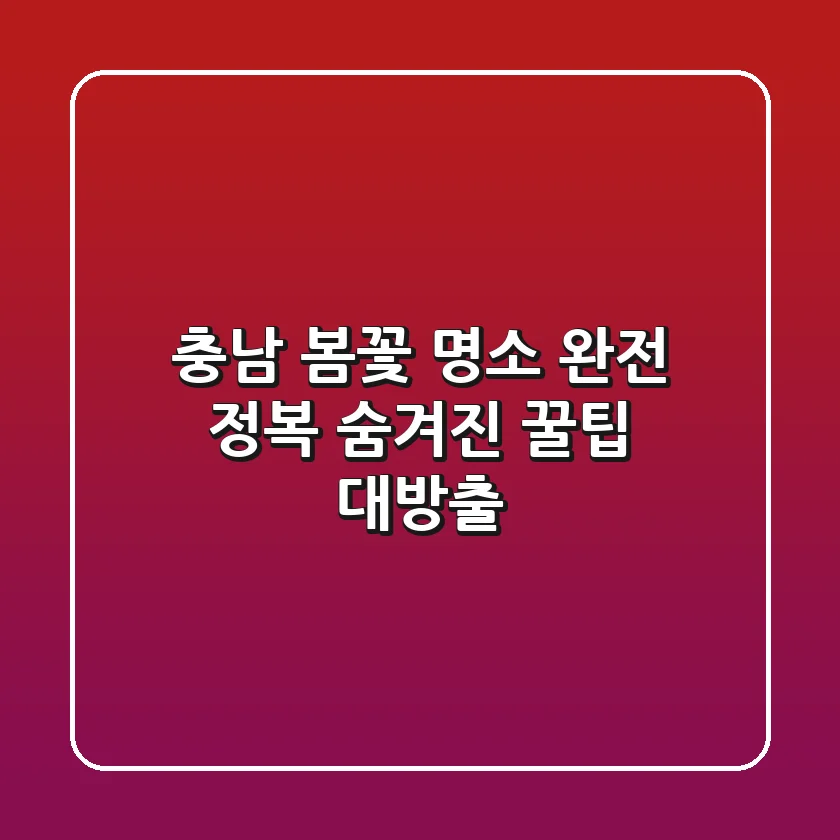 충남 봄꽃 명소 완전 정복! 숨겨진 꿀팁 대방출