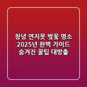 창녕 연지못 벚꽃 명소: 2025년 완벽 가이드, 숨겨진 꿀팁 대방출!