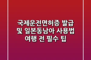 국제운전면허증 발급 및 일본·동남아 사용법: 여행 전 필수 팁!