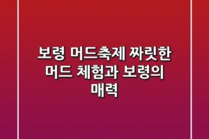 보령 머드축제: 짜릿한 머드 체험과 보령의 매력