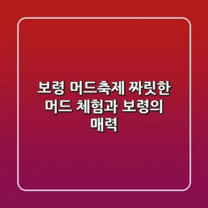 보령 머드축제: 짜릿한 머드 체험과 보령의 매력