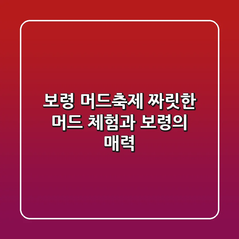 보령 머드축제: 짜릿한 머드 체험과 보령의 매력