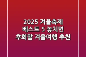 2025 겨울축제 베스트 5: 놓치면 후회할 겨울여행 추천!