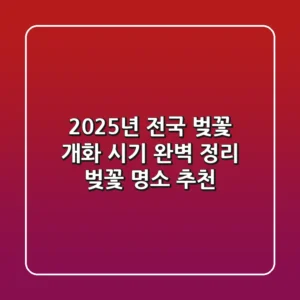 2025년 전국 벚꽃 개화 시기 완벽 정리 | 벚꽃 명소 추천