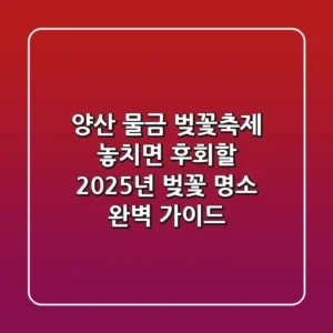 양산 물금 벚꽃축제: 놓치면 후회할 2025년 벚꽃 명소 완벽 가이드!