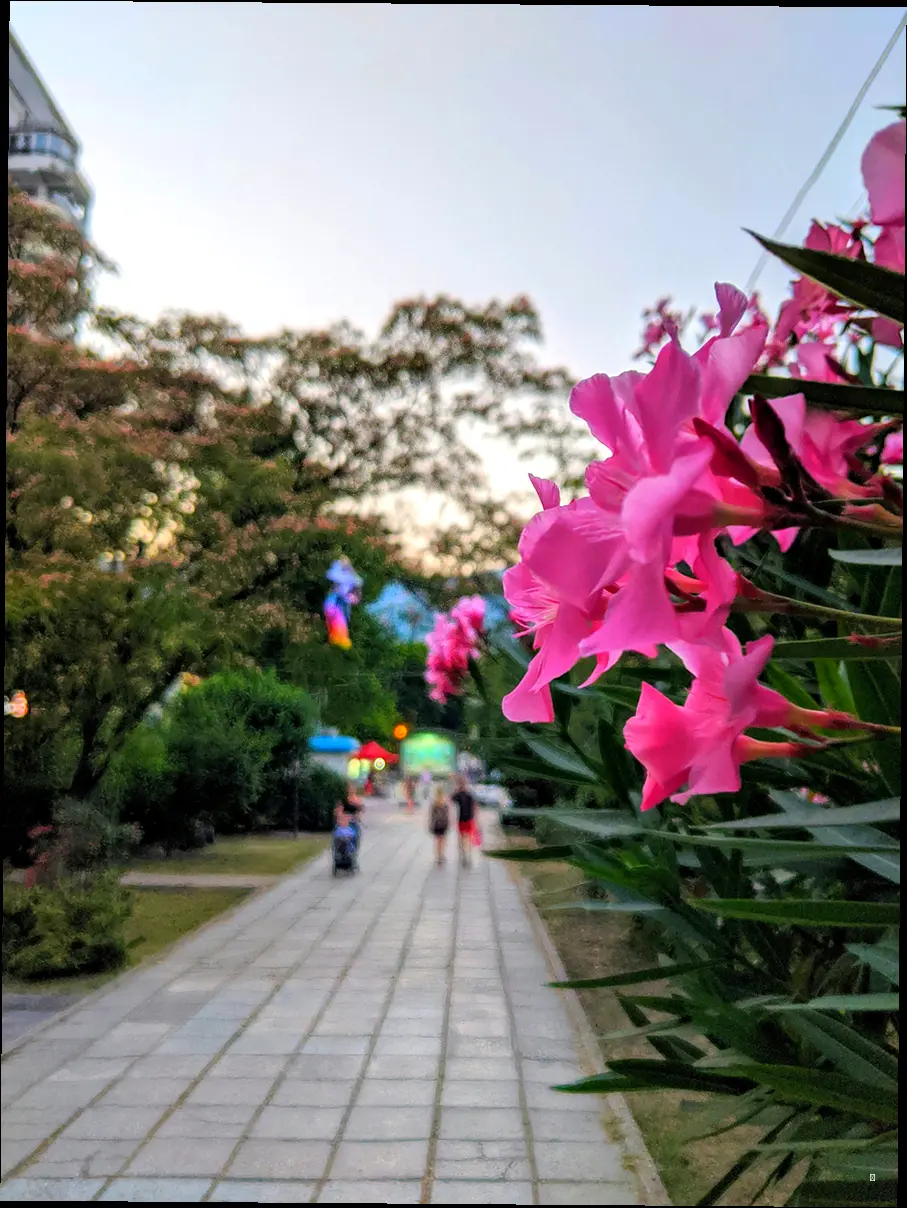 네이처파크 속살 엿보기: 주요 시설 완전 분석!