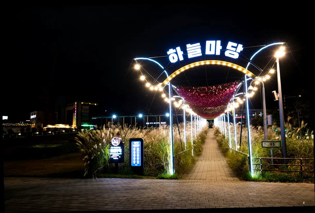 축제 핵심 정보, 한눈에 보기! (이것만 알면 준비 끝)