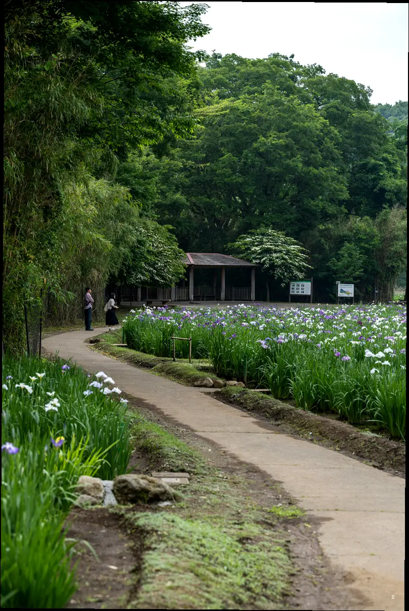 화담숲 예약, 실패는 이제 그만!