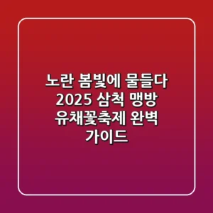 노란 봄빛에 물들다! 2025 삼척 맹방 유채꽃축제 완벽 가이드