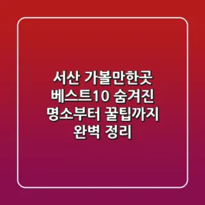 서산 가볼만한곳 베스트10: 숨겨진 명소부터 꿀팁까지 완벽 정리!