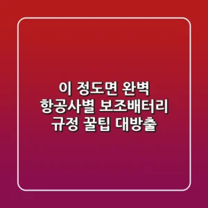 이 정도면 완벽! 항공사별 보조배터리 규정, 꿀팁 대방출