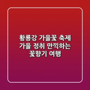 황룡강 가을꽃 축제: 가을 정취 만끽하는 꽃향기 여행