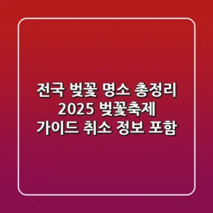 전국 벚꽃 명소 총정리! 2025 벚꽃축제 가이드 (취소 정보 포함)