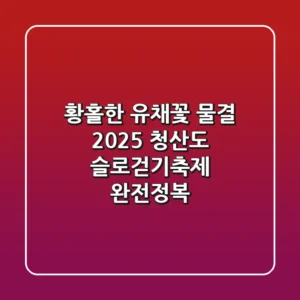 황홀한 유채꽃 물결! 2025 청산도 슬로걷기축제 완전정복