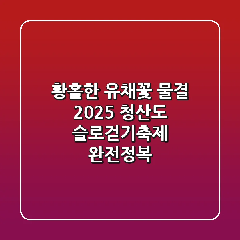 황홀한 유채꽃 물결! 2025 청산도 슬로걷기축제 완전정복