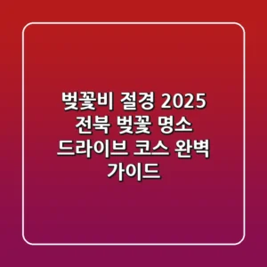 벚꽃비 절경! 2025 전북 벚꽃 명소 & 드라이브 코스 완벽 가이드