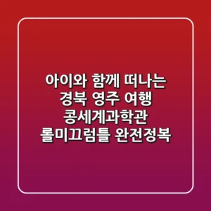 아이와 함께 떠나는 경북 영주 여행! 콩세계과학관 롤미끄럼틀 완전정복