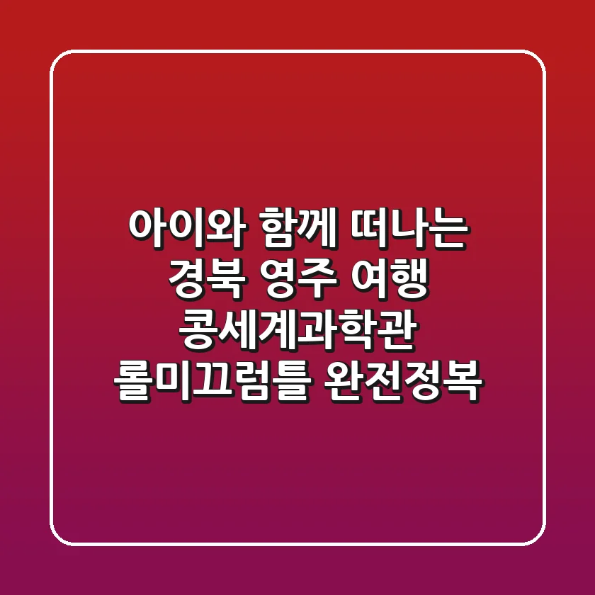 아이와 함께 떠나는 경북 영주 여행! 콩세계과학관 롤미끄럼틀 완전정복