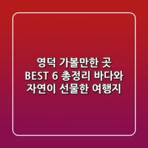 영덕 가볼만한 곳 BEST 6 총정리 : 바다와 자연이 선물한 여행지