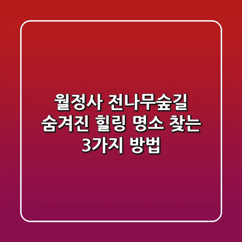 월정사 전나무숲길: 숨겨진 힐링 명소 찾는 3가지 방법