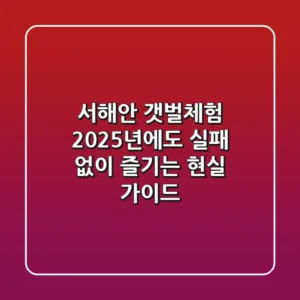 서해안 갯벌체험, 2025년에도 실패 없이 즐기는 현실 가이드