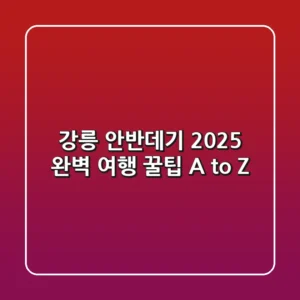강릉 안반데기 2025, 완벽 여행 꿀팁 A to Z