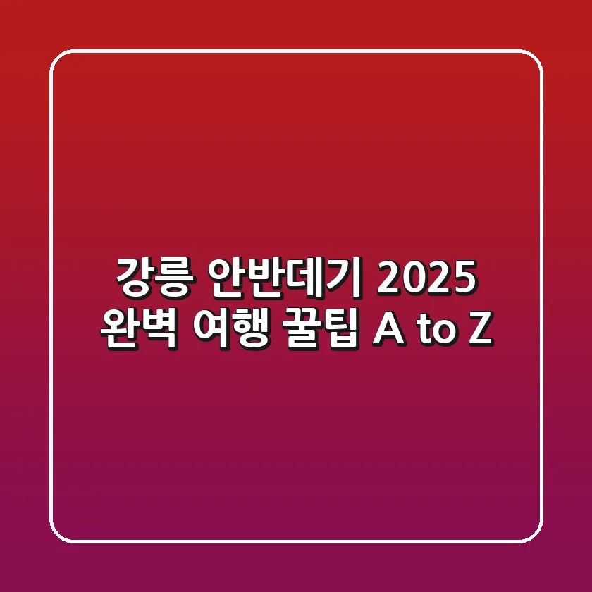 강릉 안반데기 2025, 완벽 여행 꿀팁 A to Z