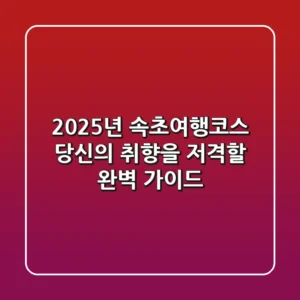 2025년 속초여행코스, 당신의 취향을 저격할 완벽 가이드