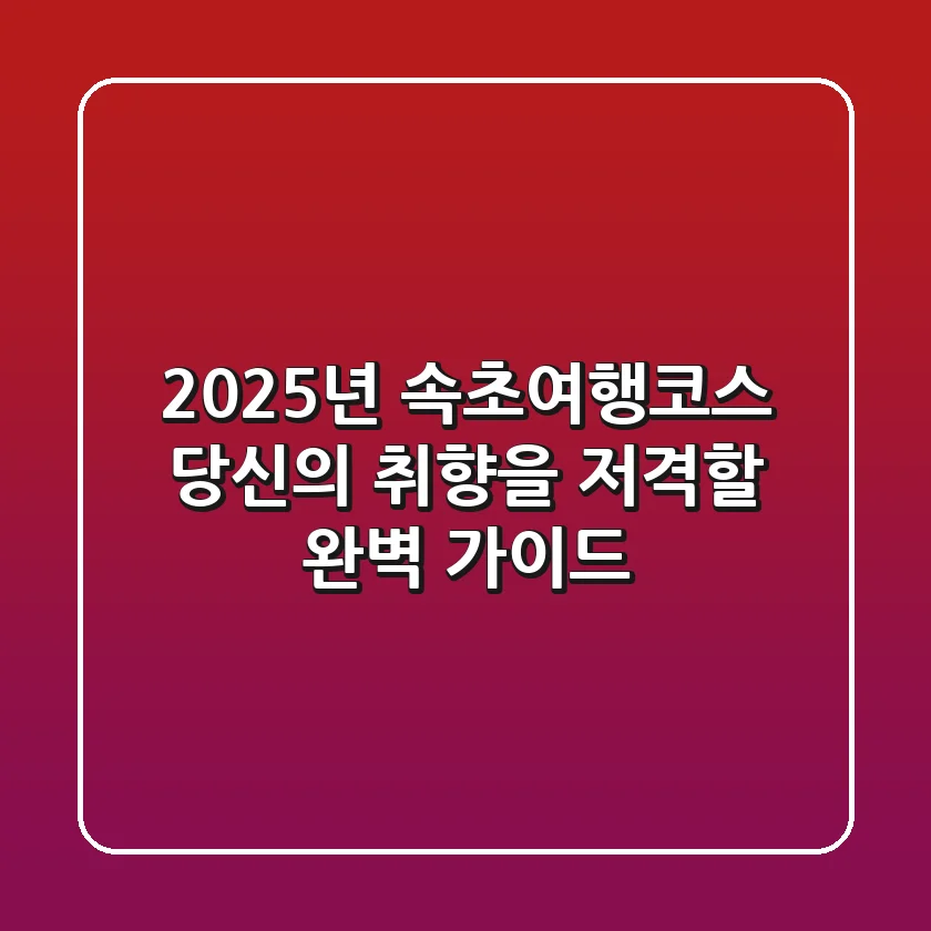 2025년 속초여행코스, 당신의 취향을 저격할 완벽 가이드