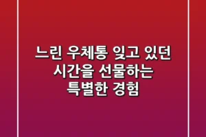느린 우체통, 잊고 있던 시간을 선물하는 특별한 경험