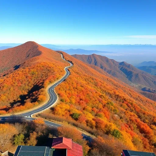 🗺️ 팔공산 제대로 즐기기: 나만의 테마 코스 선택