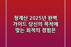 청계산 2025년 완벽 가이드: 당신의 목적에 맞는 최적의 경험은?