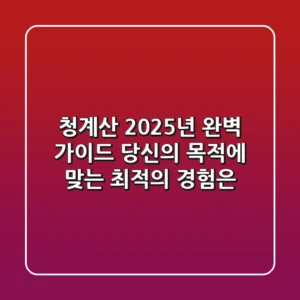 청계산 2025년 완벽 가이드: 당신의 목적에 맞는 최적의 경험은?