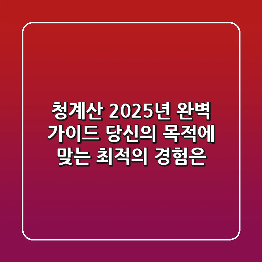 청계산 2025년 완벽 가이드: 당신의 목적에 맞는 최적의 경험은?
