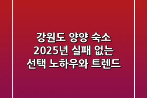 강원도 양양 숙소, 2025년 실패 없는 선택 노하우와 트렌드!