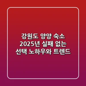 강원도 양양 숙소, 2025년 실패 없는 선택 노하우와 트렌드!