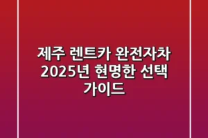 제주 렌트카 완전자차, 2025년 현명한 선택 가이드