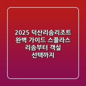 2025 덕산리솜리조트 완벽 가이드: 스플라스 리솜부터 객실 선택까지!