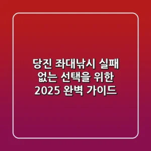 당진 좌대낚시, 실패 없는 선택을 위한 2025 완벽 가이드!