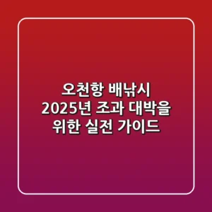 오천항 배낚시, 2025년 조과 대박을 위한 실전 가이드