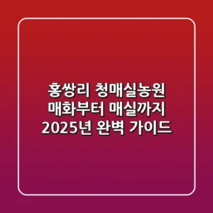 홍쌍리 청매실농원: 매화부터 매실까지 2025년 완벽 가이드