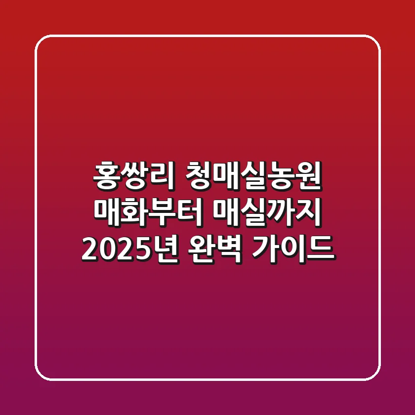 홍쌍리 청매실농원: 매화부터 매실까지 2025년 완벽 가이드