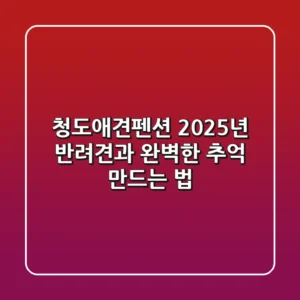 청도애견펜션, 2025년 반려견과 완벽한 추억 만드는 법
