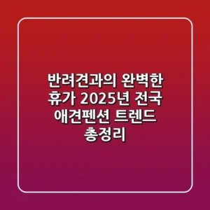 반려견과의 완벽한 휴가, 2025년 전국 애견펜션 트렌드 총정리